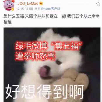 JDG绿毛微博“集五福”，遭拳师怒冲，女友亲自出面道歉  -图2