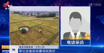 江西新余：粮食丰收之后 种粮大户遭遇“卖粮难”  -图14