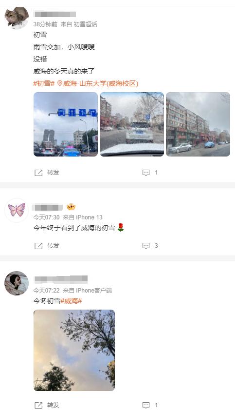 威海迎今冬初雪！  -图1