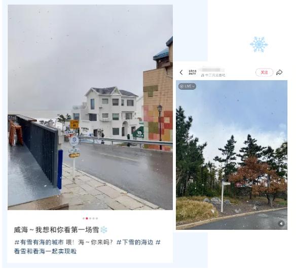 威海迎今冬初雪！  -图4